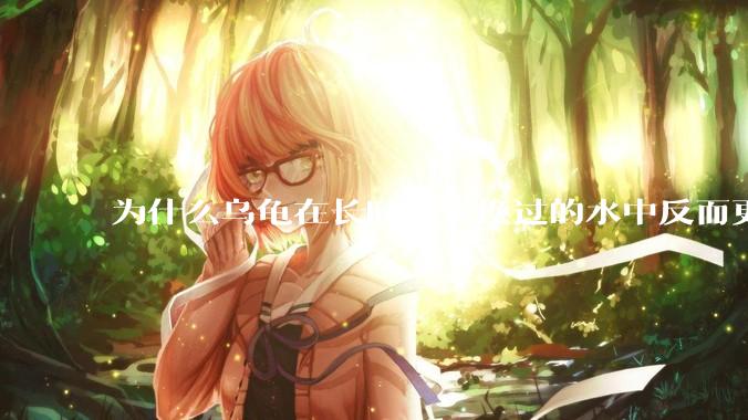 为什么乌龟在长时间未换过的水中反而更活跃？