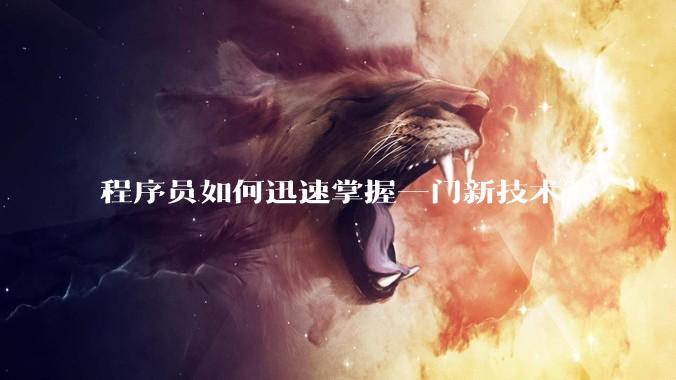 程序员如何迅速掌握一门新技术？