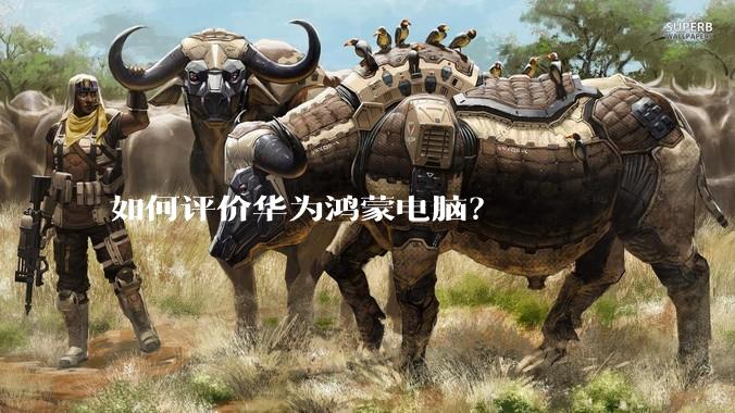 如何评价华为鸿蒙电脑？