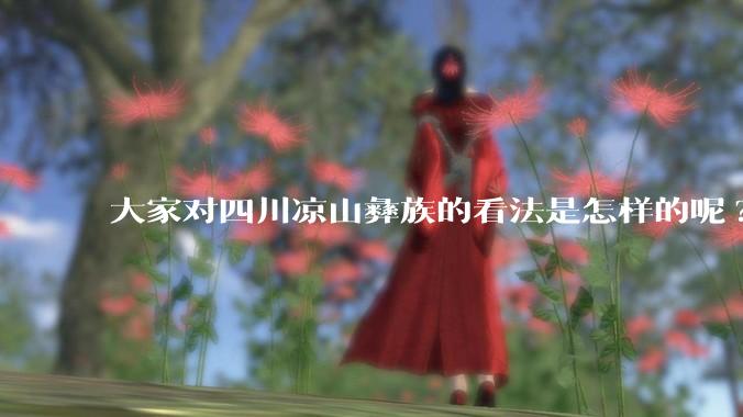 大家对四川凉山彝族的看法是怎样的呢?