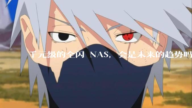 千元级的全闪 NAS，会是未来的趋势吗？