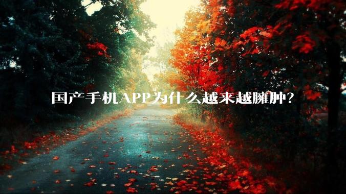 国产手机APP为什么越来越臃肿？