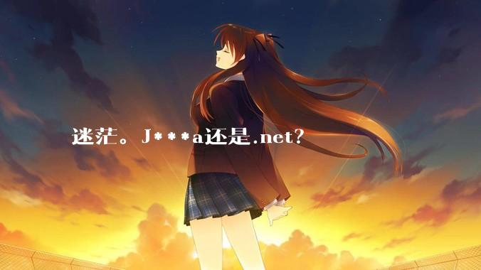 迷茫。J***a还是.net？