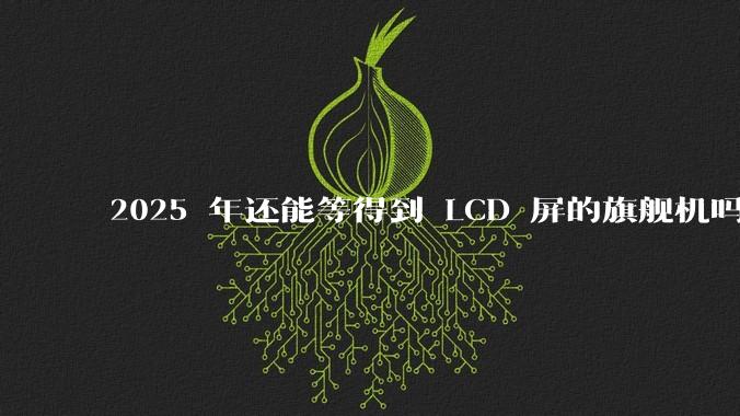 2025 年还能等得到 LCD 屏的旗舰机吗？