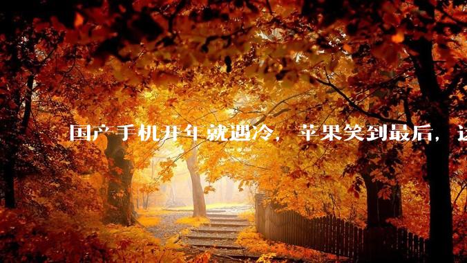 国产手机开年就遇冷，苹果笑到最后，这可怎么办？_同比_市场_行业