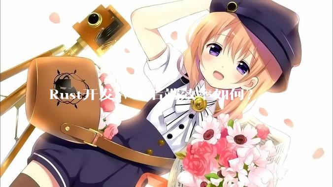 Rust开发Web后端效率如何？