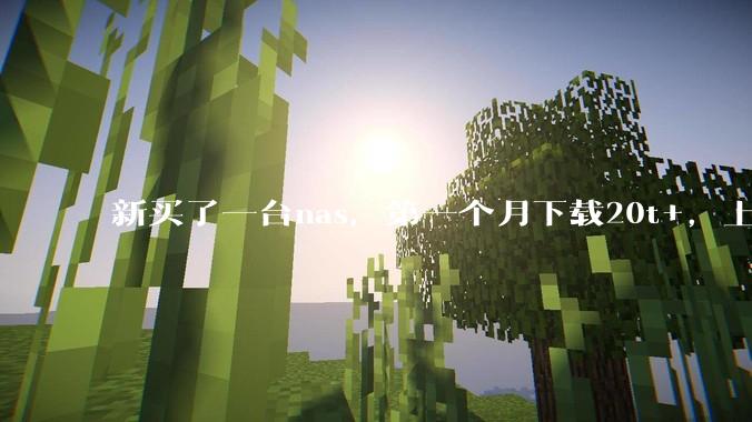 新买了一台nas，第一个月下载20t+，上传5+，不会被网警盯上吧?