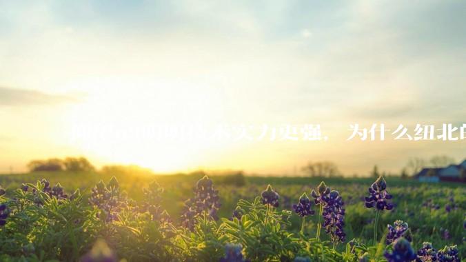 仰望u9明明技术实力更强，为什么纽北的成绩没有小米su7ultra好？