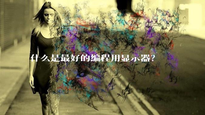 什么是最好的编程用显示器？