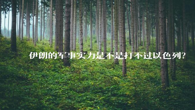 伊朗的军事实力是不是打不过以色列？
