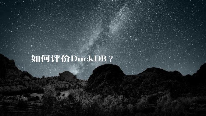 如何评价DuckDB?