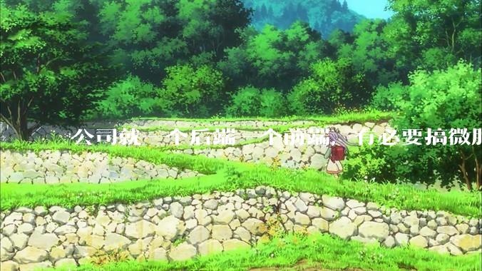 公司就一个后端一个前端，有必要搞微服务吗？