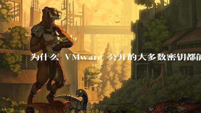 为什么 VMware 公开的大多数密钥都能用？