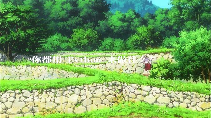 你都用 Python 来做什么？